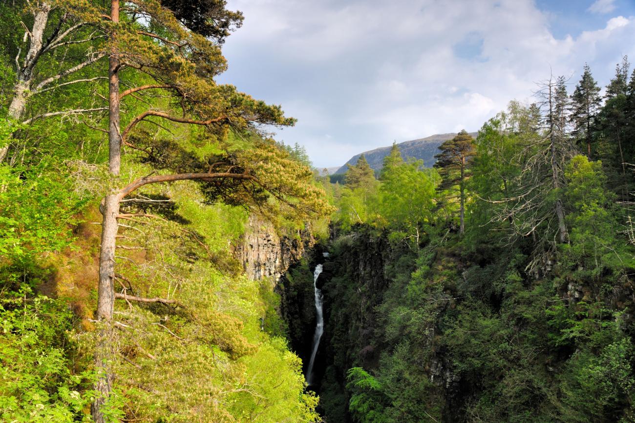 Feast your eyes on this Gorge NatureScot